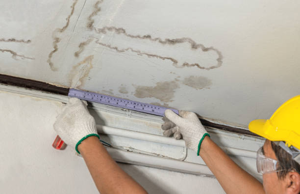 Reliable Water Damage contractor in Thompsonville, MI by Water Damage Irwin